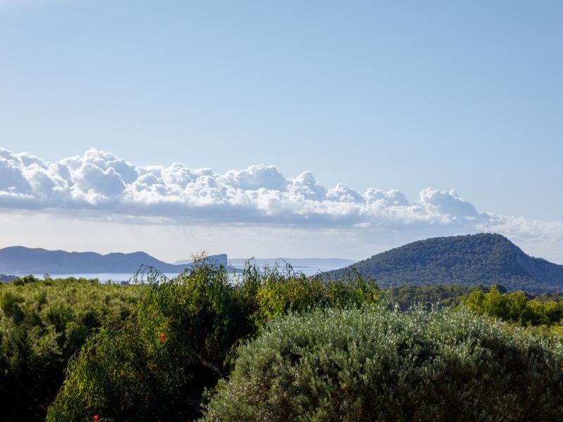 Villa Esther , Ibiza  