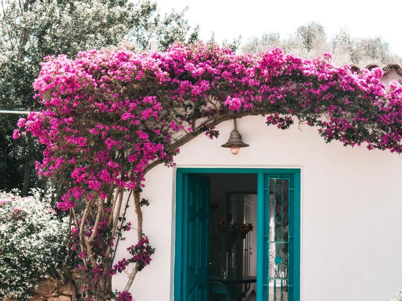 Finca Lucia , Can Furnet , Jesus  