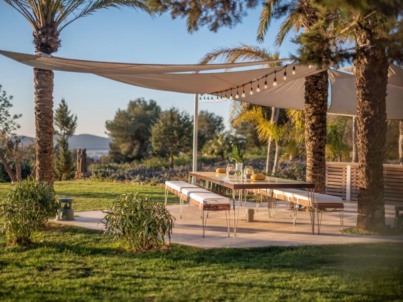 Oasis , South  