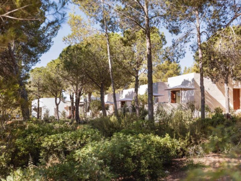 Villa Aurea  , North East  