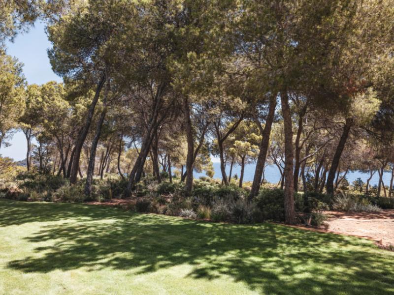 Villa Aurea  , North East  
