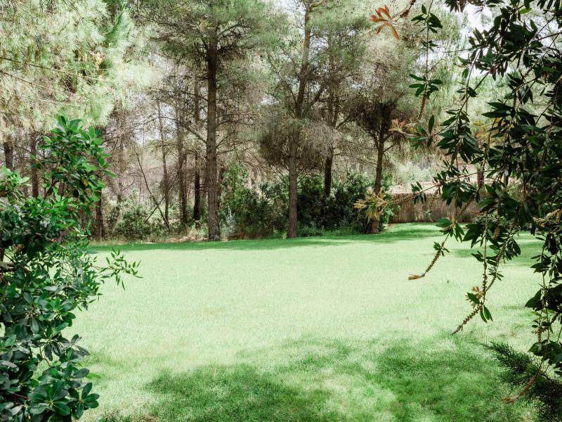 Los Pinos  , Central , Ibiza  